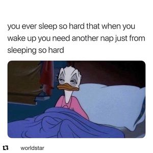 Meet your Posher, Thomas